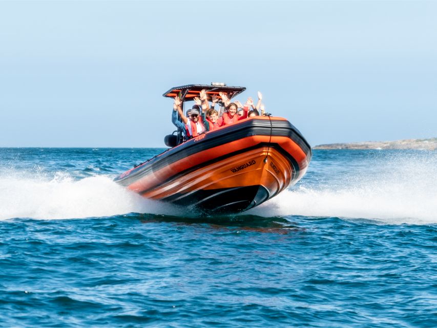 Cascais: Dolphin Watching Tour - Key things to know before you go