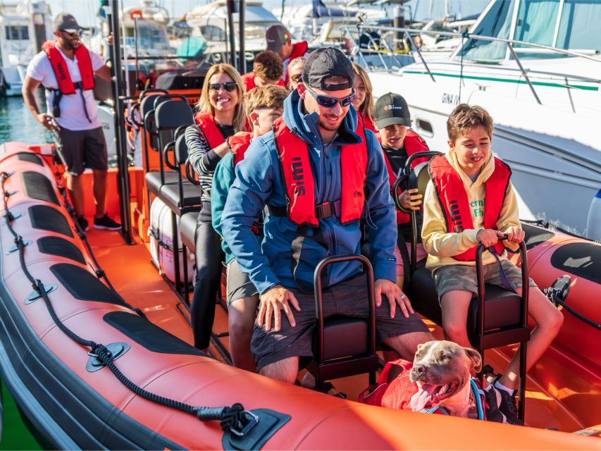 Cascais: Dolphin Watching Tour - Safety rules that keep dolphins wild (and your photos possible)