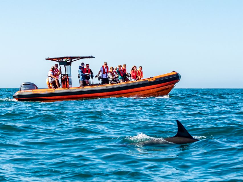 Cascais: Dolphin Watching Tour - Who this dolphin tour is best for, and who should skip it