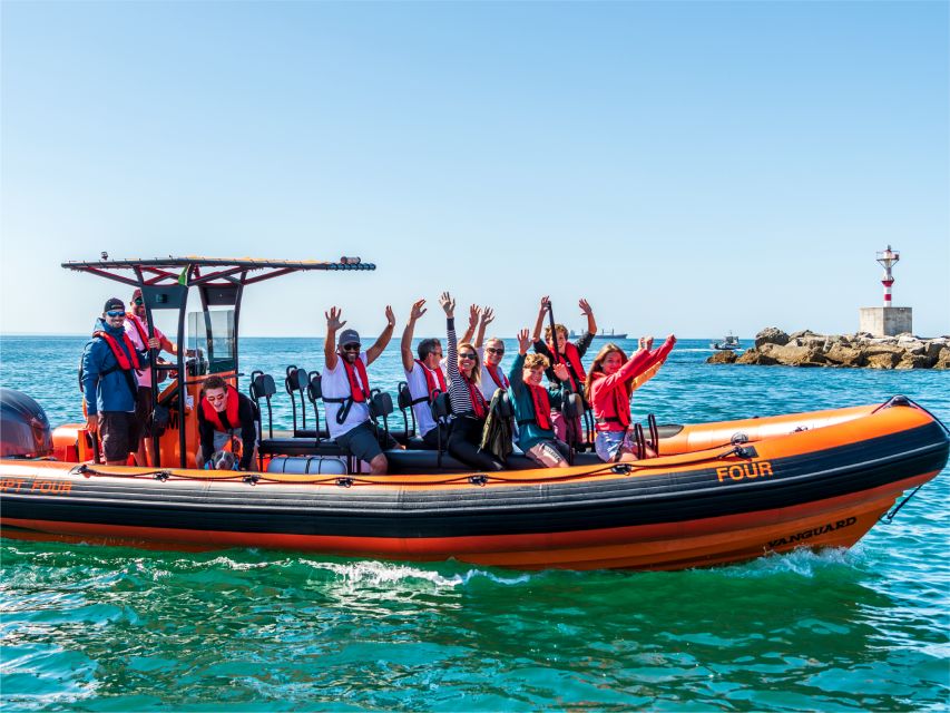 Cascais: Dolphin Watching Tour - Should you book the Cascais Dolphin Watching Tour?