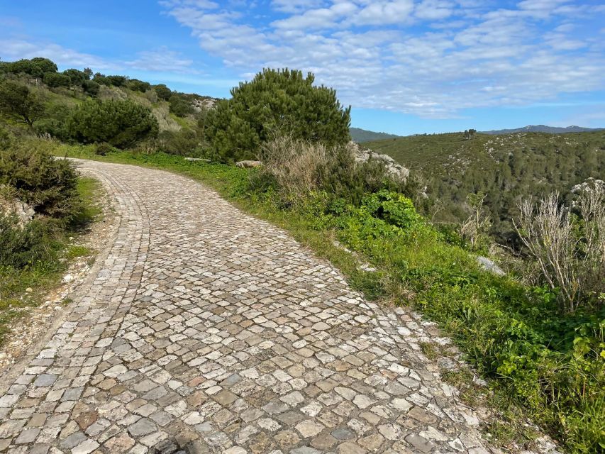 Cascais-Sintra E-bike Tour: Coast & Countryside Adventure - Who should book this, and who should skip it