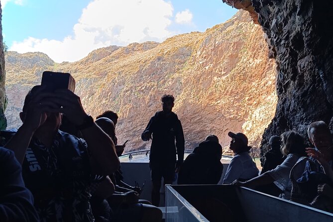Catamaran trip to Berlengas Island + visit to the caves - Dolphins and Sea Conditions: The Real-Life Part of a Catamaran Day