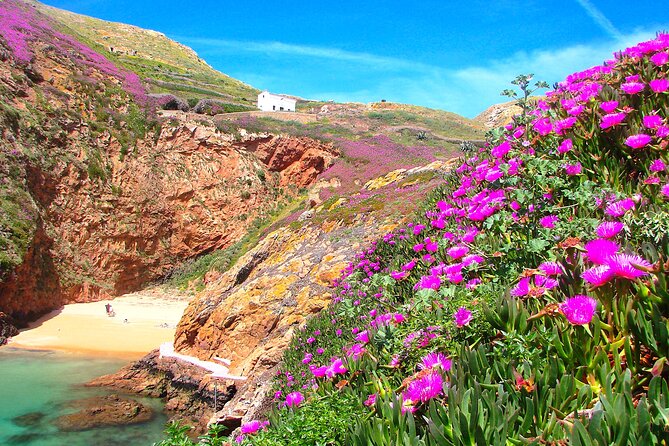 Catamaran trip to Berlengas Island + visit to the caves - Price and Fees: Is $60.21 Good Value?