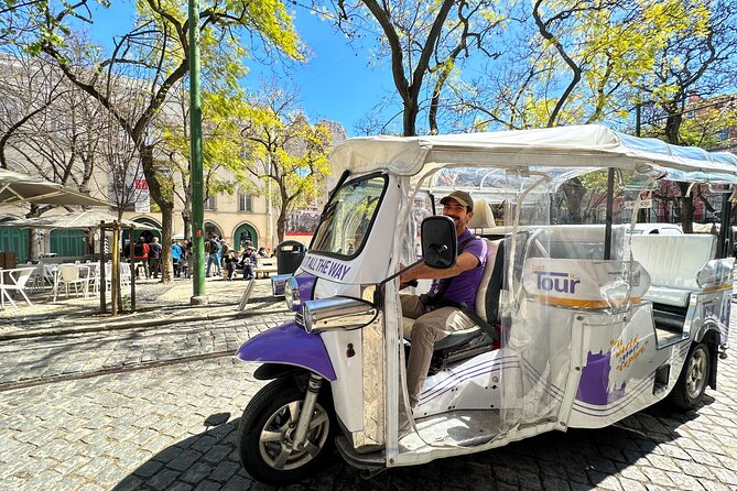 Classic Lisbon & Earthquake Tour by Private Tuk Tuk (4 Hours) - Downtown Lisbon and the 1755 Earthquake Rebuild You Can Actually See