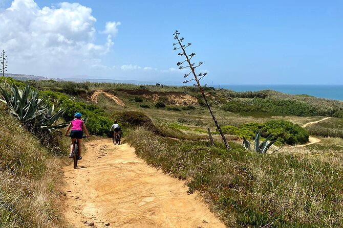 Cliff Top Ride - Key highlights to look for