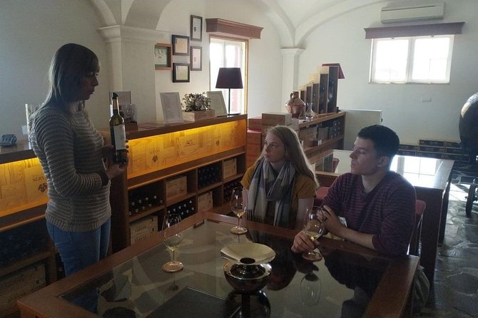 Coimbra Private Tour - Key things you should know before you go