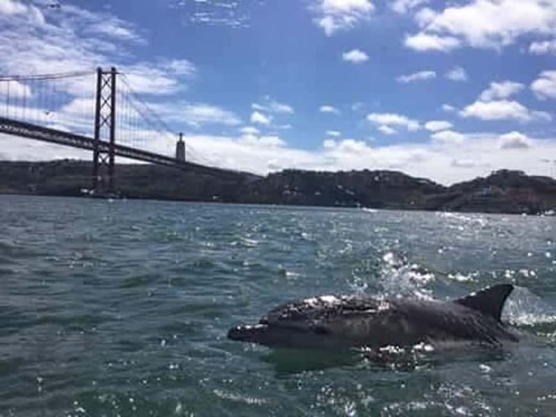 Cultural Sailing Tour in Lisbon - Who This Tour Fits Best, and Who Should Skip It