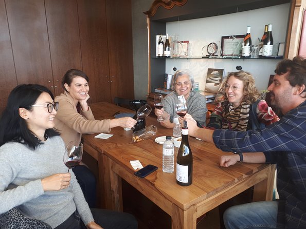 Day trip Lisbon Wine Tasting - Private tour - Manzwine in Cheleiros: Jampal, Six Tastings, and a Barrel Room in an Old School