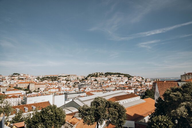 Devour Lisbon Bairro Alto Evening Food & Wine Tour - Your petiscos and drink lineup, from green wine to port and pastel de nata