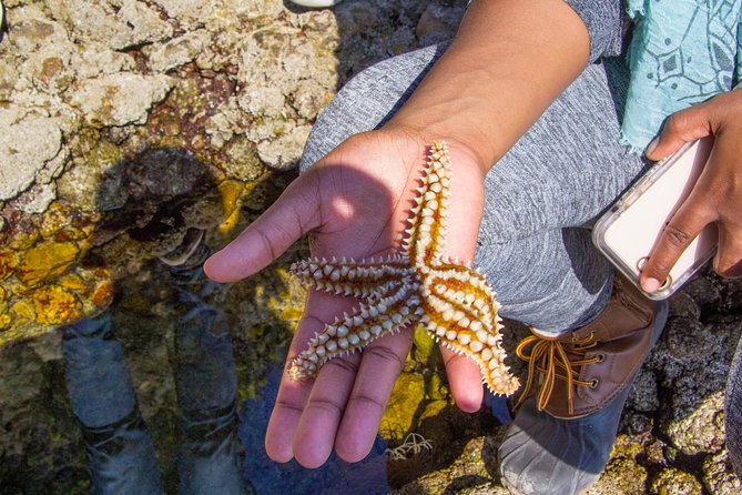 Discover Arrábida: The Secret Paradise - What You Actually Get for $84: Value Breakdown