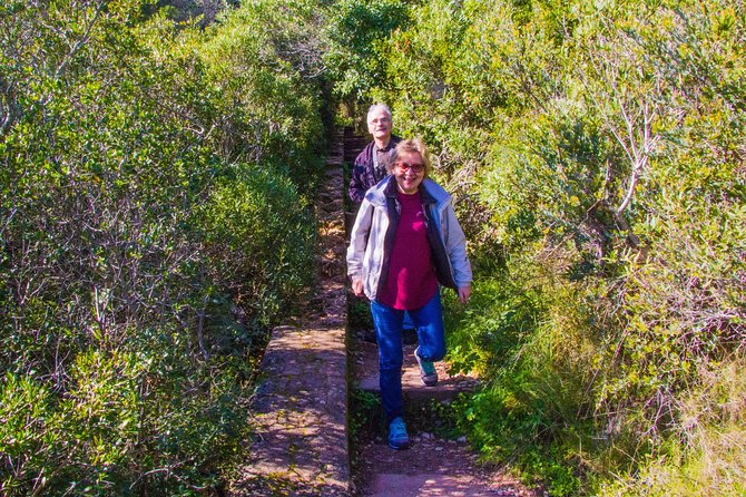 Discover Arrábida: The Secret Paradise - Getting Out of Lisbon: Timing, Group Size, and Comfort