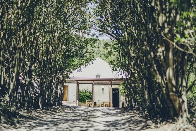 Discover Setúbal´s Secrets: Wine, Culture&Arrabida Magic| PRIVATE - Mercado do Livramento: fish market energy and Pedro Pinto tiles