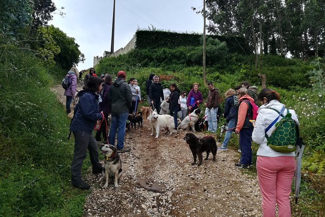 Discover Sintra's Hidden Trails: A Unique Hiking Experience - Skip the Lisbon Bus and Get Real Trail Time in Sintra