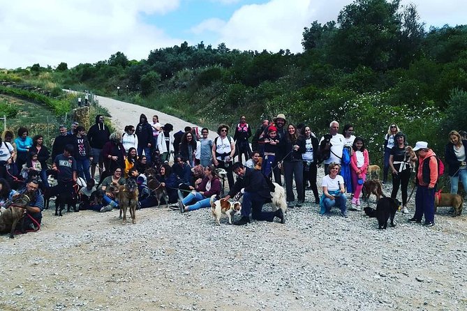 Discover Sintra's Hidden Trails: A Unique Hiking Experience - Guide Quality Matters, and Rob Sets the Tone