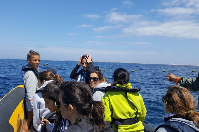Dolphin Route - Weather, Wind, and When Plans Change