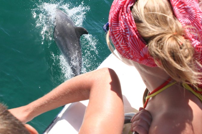 Dolphin Watching in the Wild - Half Day - Vineyard Wine Stop and Arrabida Natural Park: The Bonus Stops That Make It Feel Like More
