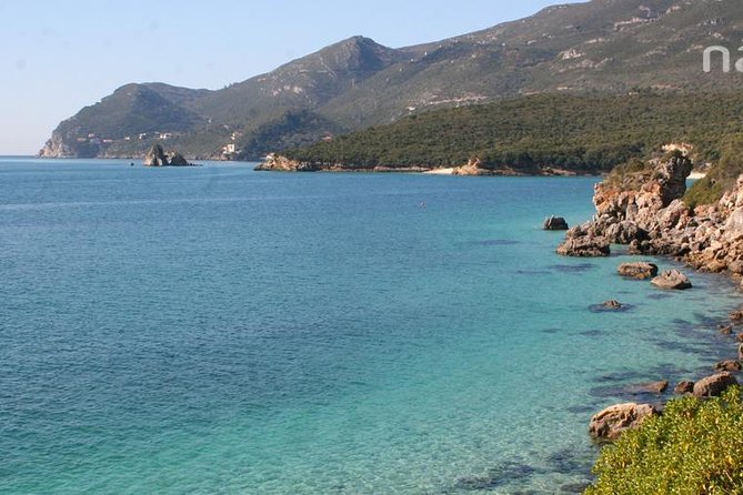 Dolphin Watching in the Wild - Half Day - Should You Book This Dolphin Watching in the Wild Tour?
