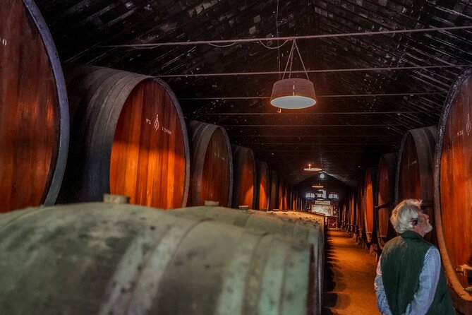 Douro Valley Private Day Trip from Lisbon: Vineyards & River View - What You’ll Actually Do With Your Time (Not Just Where You Go)