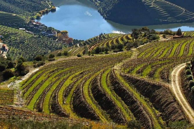 Douro Valley Private Wine Tour From Lisbon - Key things to know before you go