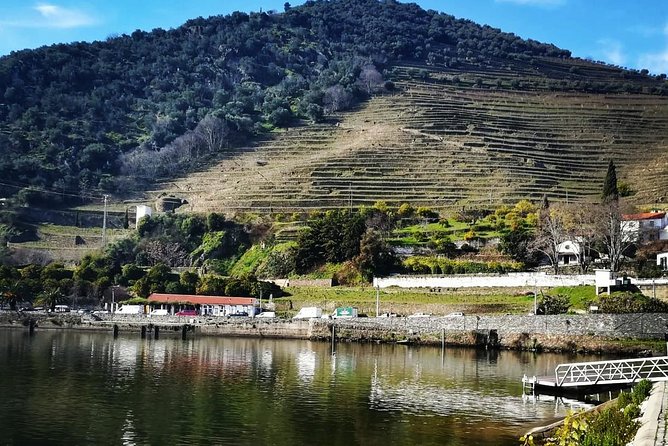 Douro Valley Private Wine Tour From Lisbon - Vineyard visits and tastings: how to avoid feeling rushed