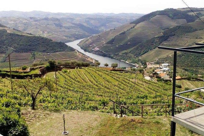 Douro Valley Private Wine Tour From Lisbon - Pinhão free time: lunch choices, ports, and table wines