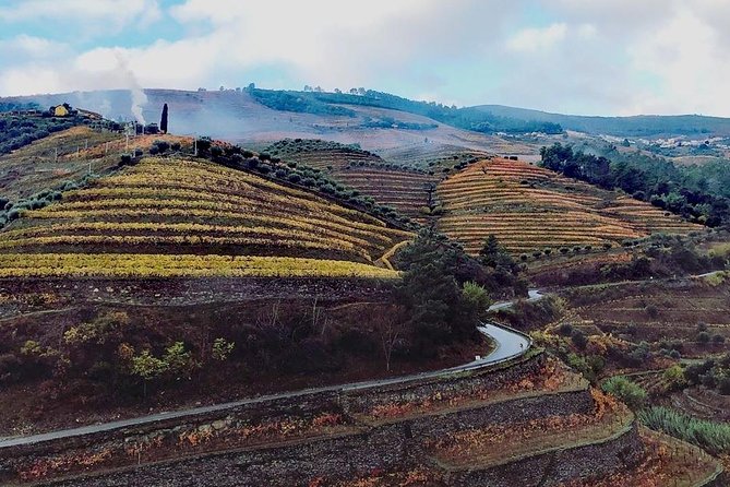 Douro Valley Private Wine Tour From Lisbon - The Pinhão Railway Station stop: why it’s more than a photo stop