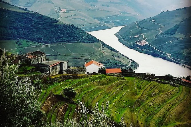 Douro Valley Private Wine Tour From Lisbon - Optional Douro River cruise in Pinhão: when it’s worth the add-on