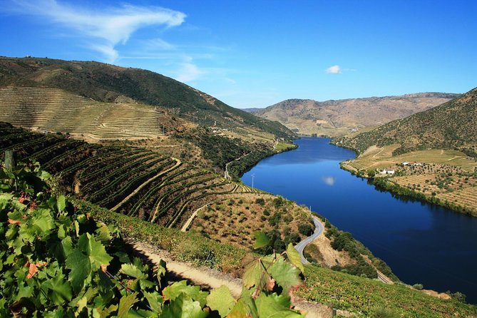 Douro Valley Private Wine Tour From Lisbon - UNESCO Douro vineyards: what the guided stops actually give you