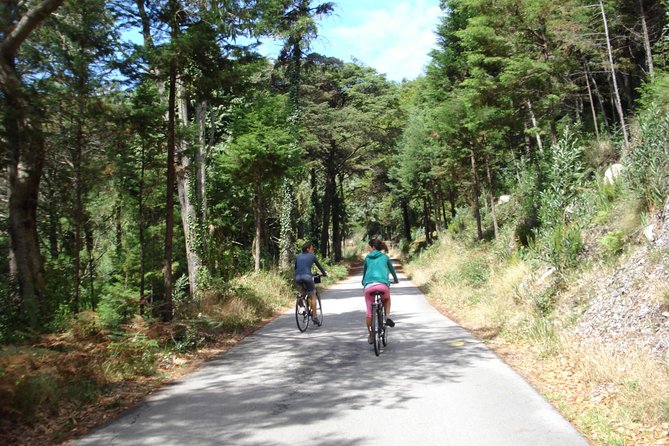 E-Bike Self-Guided Sintra - Cascais (Private Tour from Lisbon) - Centro Historico de Sintra: a quick taste, and palaces if you want them