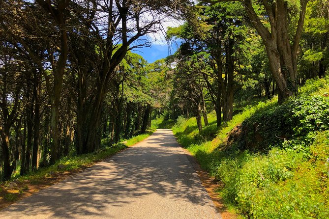E-Bike Self-Guided Sintra - Cascais (Private Tour from Lisbon) - Lisbon to Sintra by train: when you want to stop sweating the commute