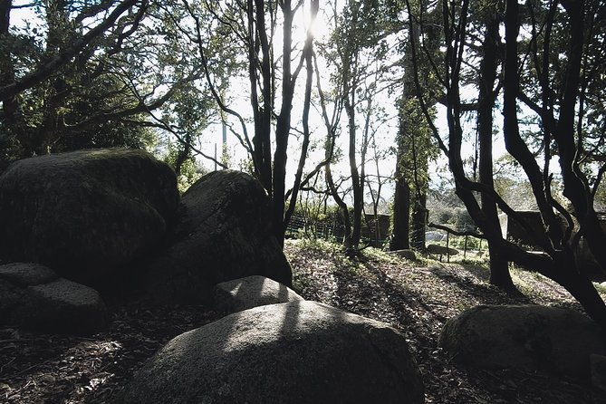 Epic Off-Road Adrenaline in Sintra - Group size, guide style, and the “real Sintra” effect