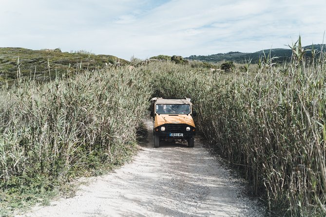 Epic Off-Road Adrenaline in Sintra - Morning in the UNESCO zone: start in Sintra, not Lisbon
