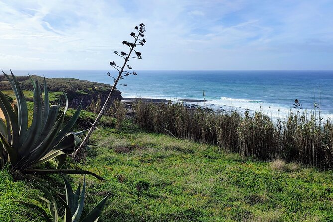 Ericeira Private Tour: 10 Tastings Food Tour - Praia dos Pescadores: Fishermen Watching and the Lunch Logic