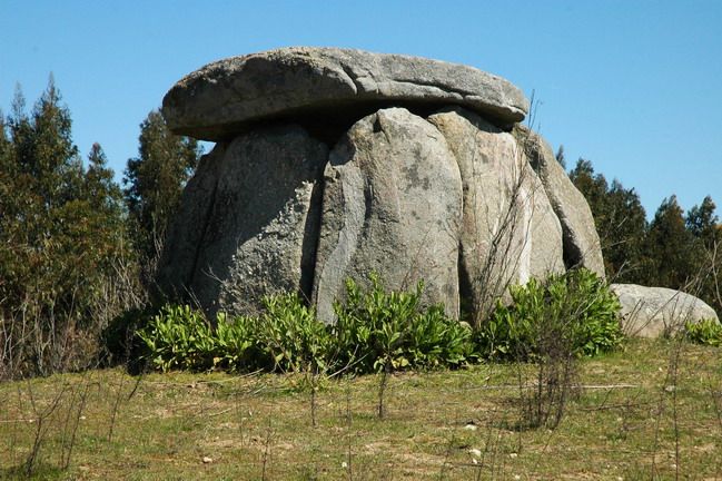 Évora and Megaliths Full-Day Tour from Lisbon - Cork in Portugal: the countryside stop that explains a real industry