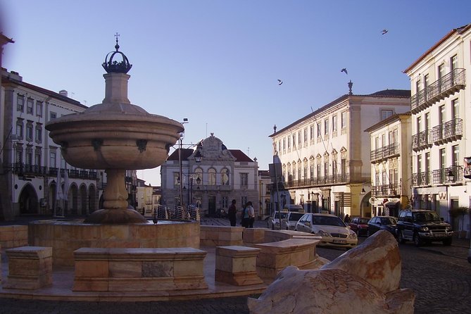 Evora and Monsaraz Wine Tasting Private Tour - Getting from Lisbon with smooth pickup and a real guide