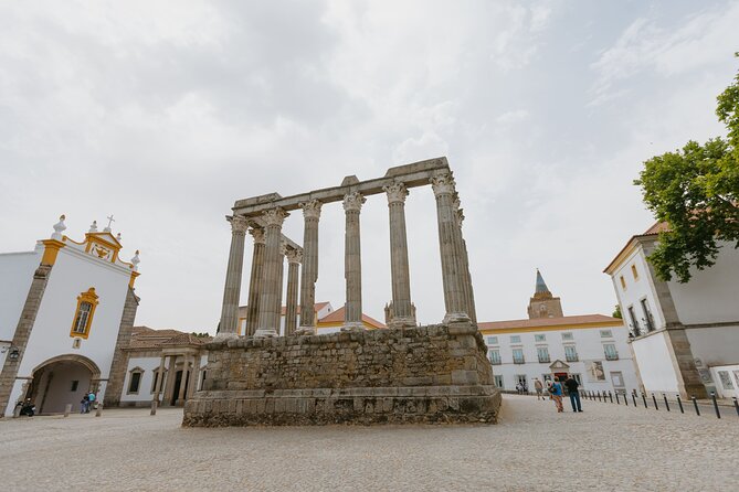 Évora, medieval village Monsaraz & Wine Tasting - Winery and wine tasting: the Alentejo payoff (and how to make it work for you)