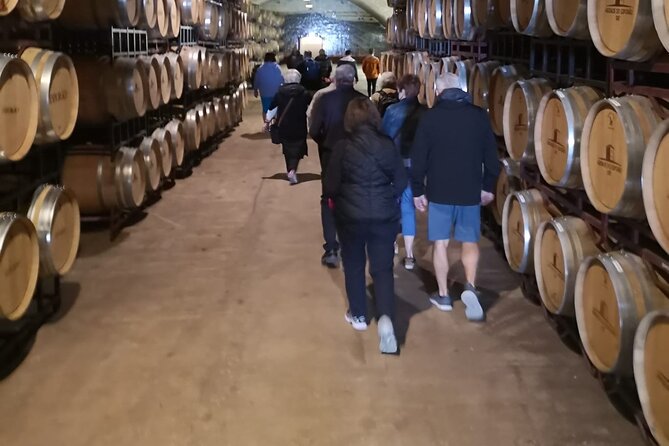 Évora Private Tour - Cork Factory and Wine Estate Included - Value and timing: is $338.25 a good deal for a private day?