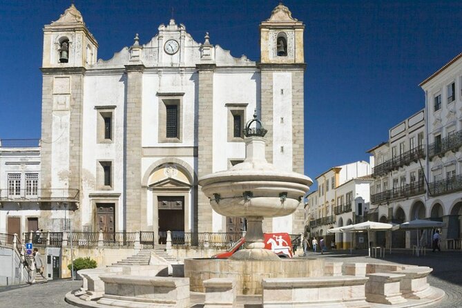 Évora Private Tour - Cork Factory Visit Included - Private guide touch: when the conversation stays light and accurate