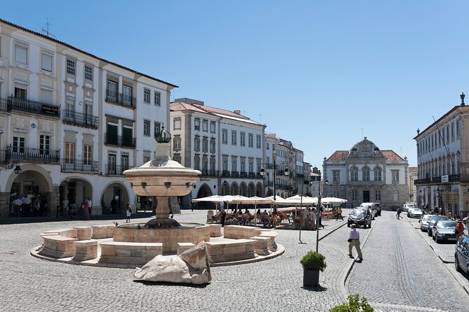 Évora Private Tour - Cork Factory Visit Included - Who should book this Évora private tour?