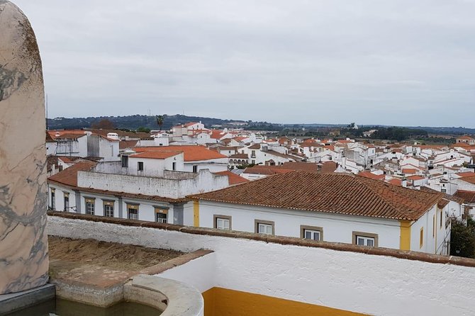 Évora Private Tour - Cork Factory Visit & Wine Tasting Included - Azaruja cork factory visit: from bark to products you can picture