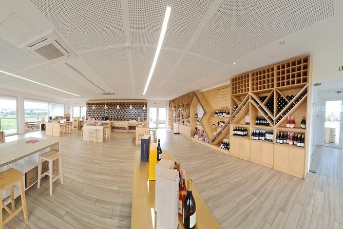 Évora, Private Tour with Wine Tasting and Lots of History - Corticarte Cork Craft: A 15-Minute Break That Actually Teaches