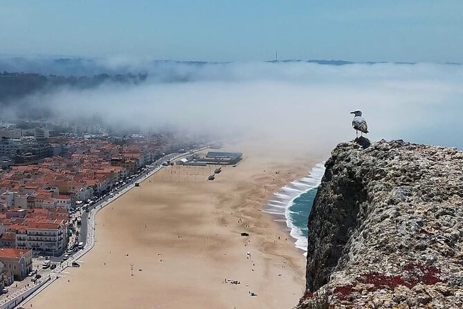Excursion from Lisbon to Fátima Grutas Nazaré and Óbidos - Grutas de Mira de Aire: The 2-Hour Underground Wow
