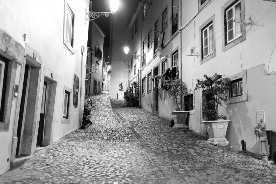 Fado: Musical Walking Tour with Food & Live Show - Who Should Book This Fado Walking Tour