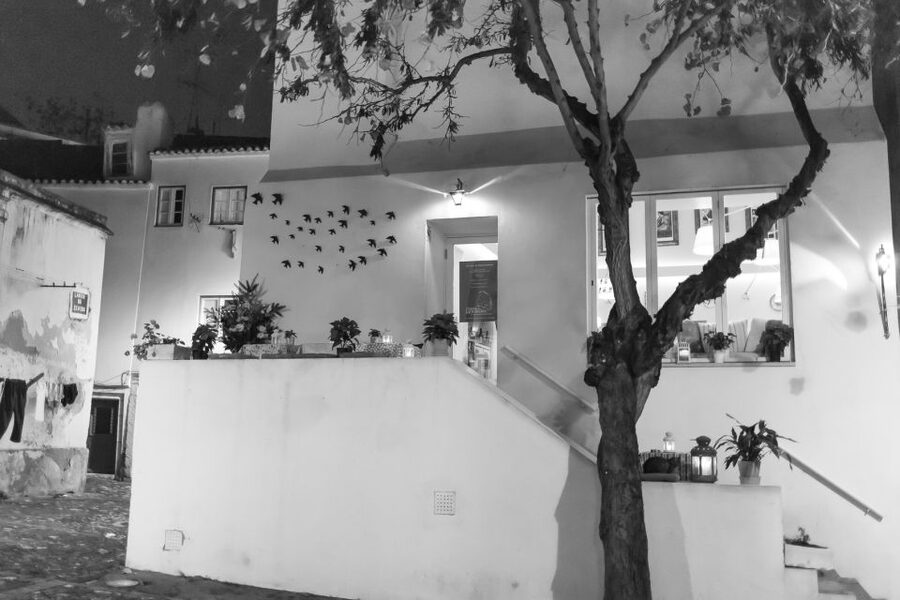 Fado: Musical Walking Tour with Food & Live Show - What the Live Singing Actually Adds While You Walk