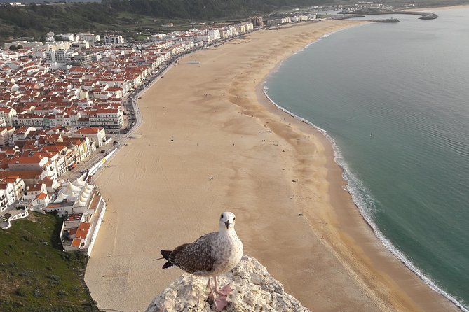 Fátima, Batalha, Nazaré and Óbidos day Tour - Why This Fatima-Batalha-Nazaré-Óbidos Route Works
