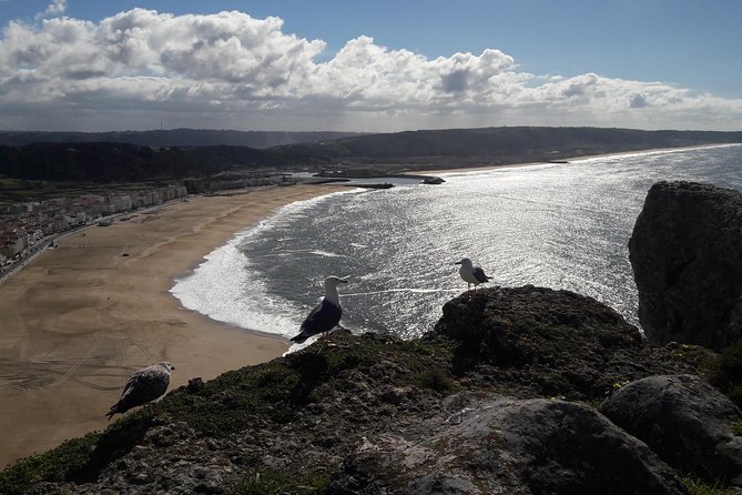 Fátima, Batalha, Nazaré and Óbidos day Tour - Price and Value: What $276.36 Really Buys