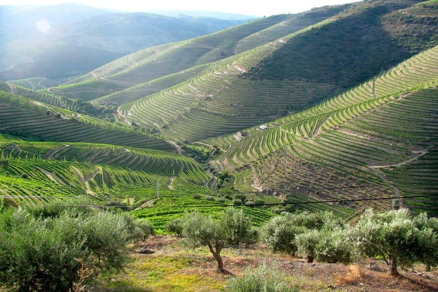 Fatima, Batalha, Nazare, Obidos Private Full Day Tour - A private 8-hour loop from Lisbon, built for comfort and clarity