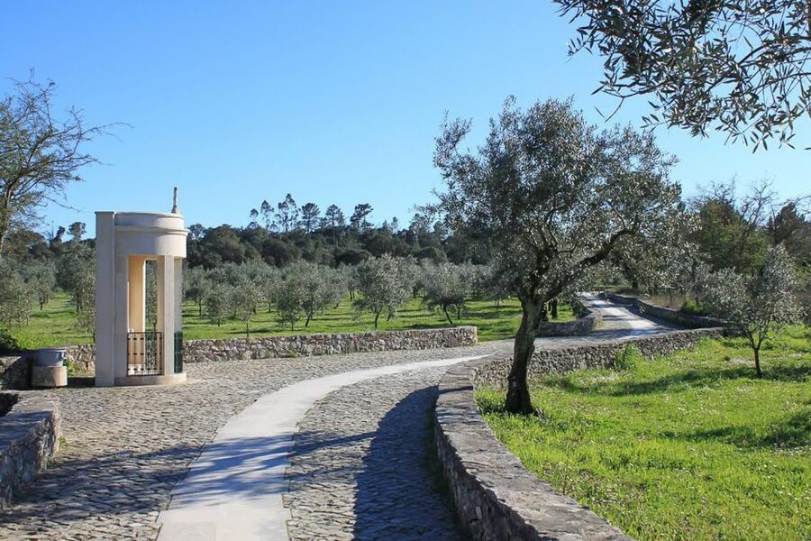 Fatima, Batalha, Nazare, Obidos Private Full Day Tour - Óbidos medieval village: walls, winding lanes, and ginjinha tasting