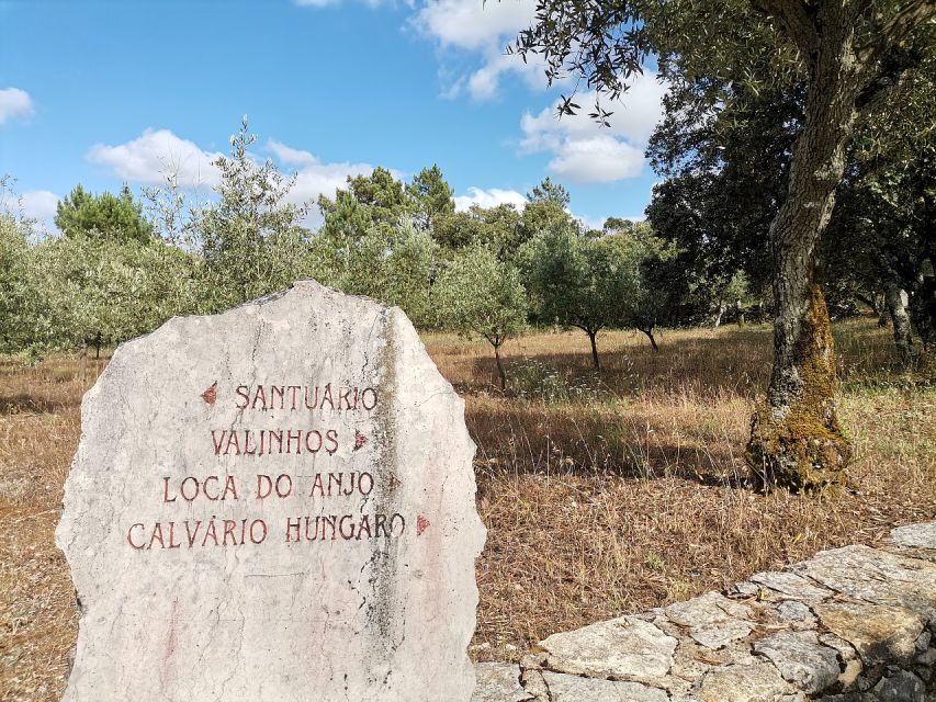 Fatima Full-Day Private Personalized Pilgrimage from Lisbon - Key highlights worth centering in your day