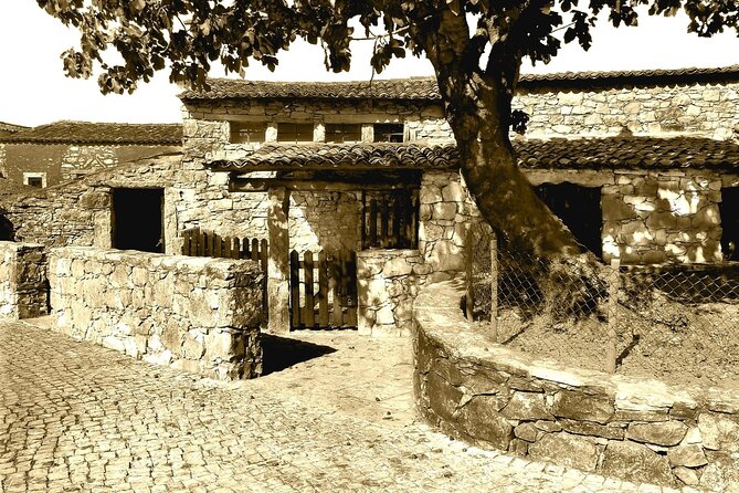 Fatima Guided Private Half day Tour - Timing tips so you do not feel rushed